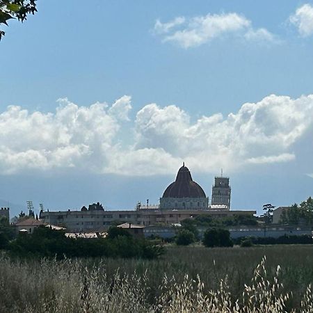 Nido Del Parco, Delizioso Bilocale A Pisa 아파트 외부 사진